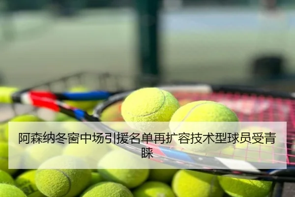 阿森纳冬窗中场引援名单再扩容技术型球员受青睐