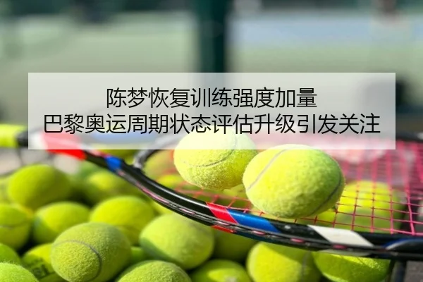 陈梦恢复训练强度加量 巴黎奥运周期状态评估升级引发关注