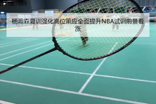 杨瀚森夏训强化高位策应全面提升NBA试训前景看涨